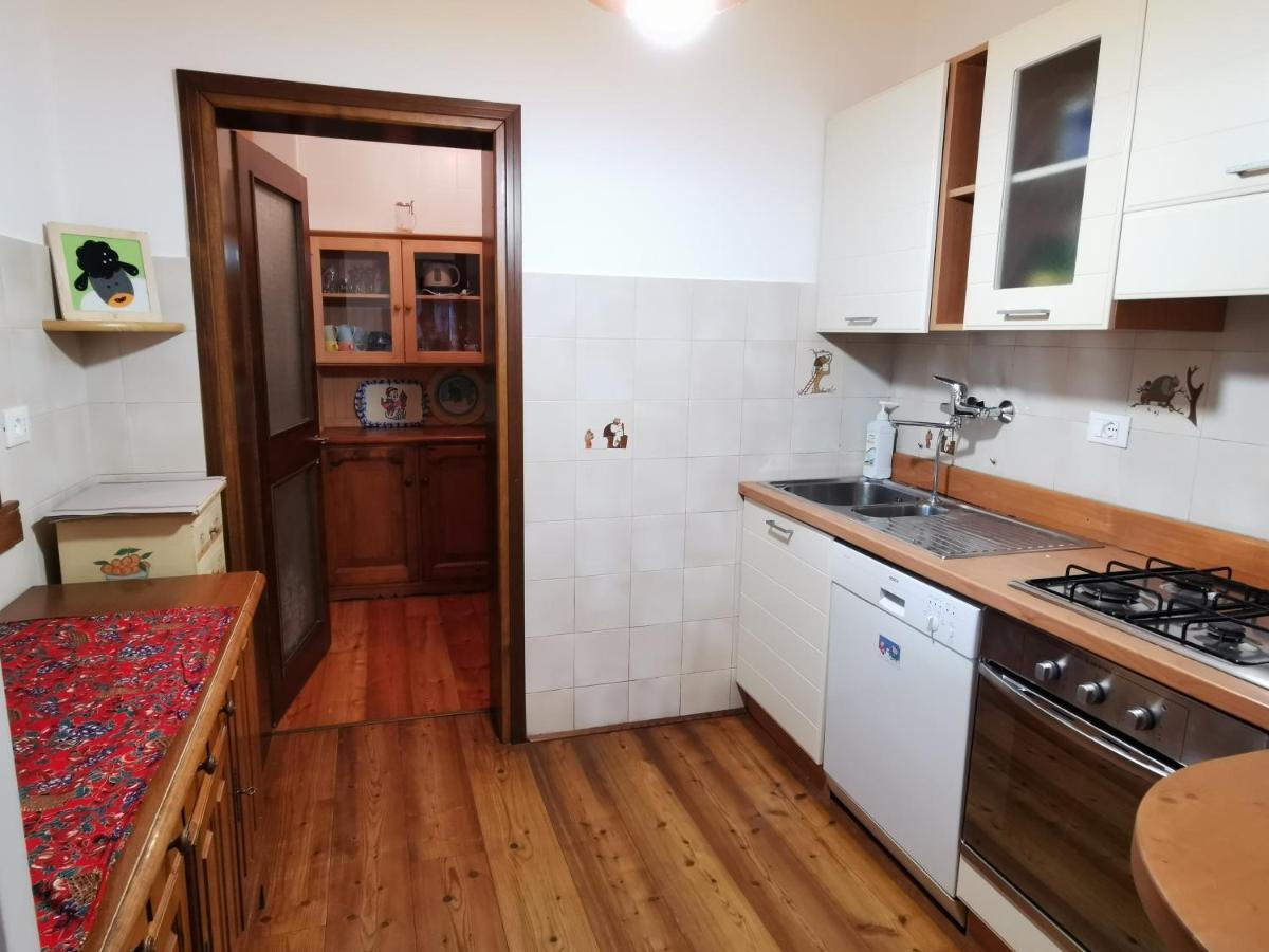Casa Phoenix Appartamento Piano Terra Immerso Nel Verde A Pochi Minuti Dalla Ciclabile Pieve di Cadore Exterior photo